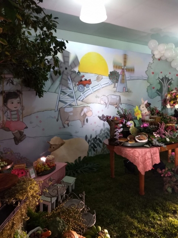 festa infantil 9