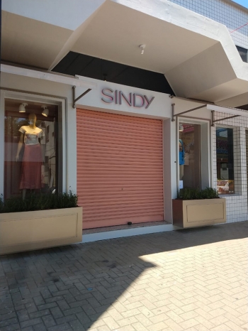 sindy